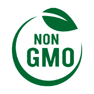 Client 1 copy copy copy copy